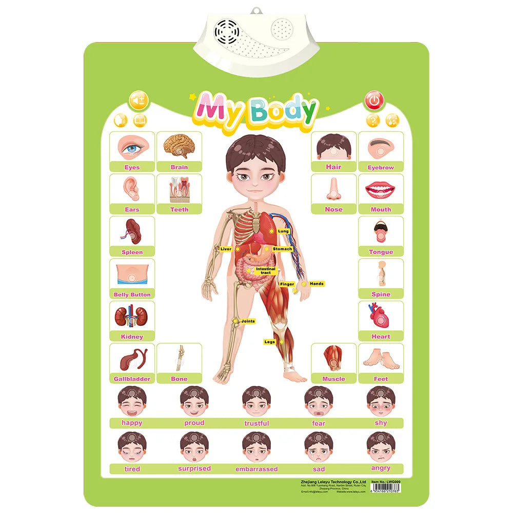Interactive Alphabet Wall Chart for Kids — Talking ABC Poster for Toddlers Ages 2–5