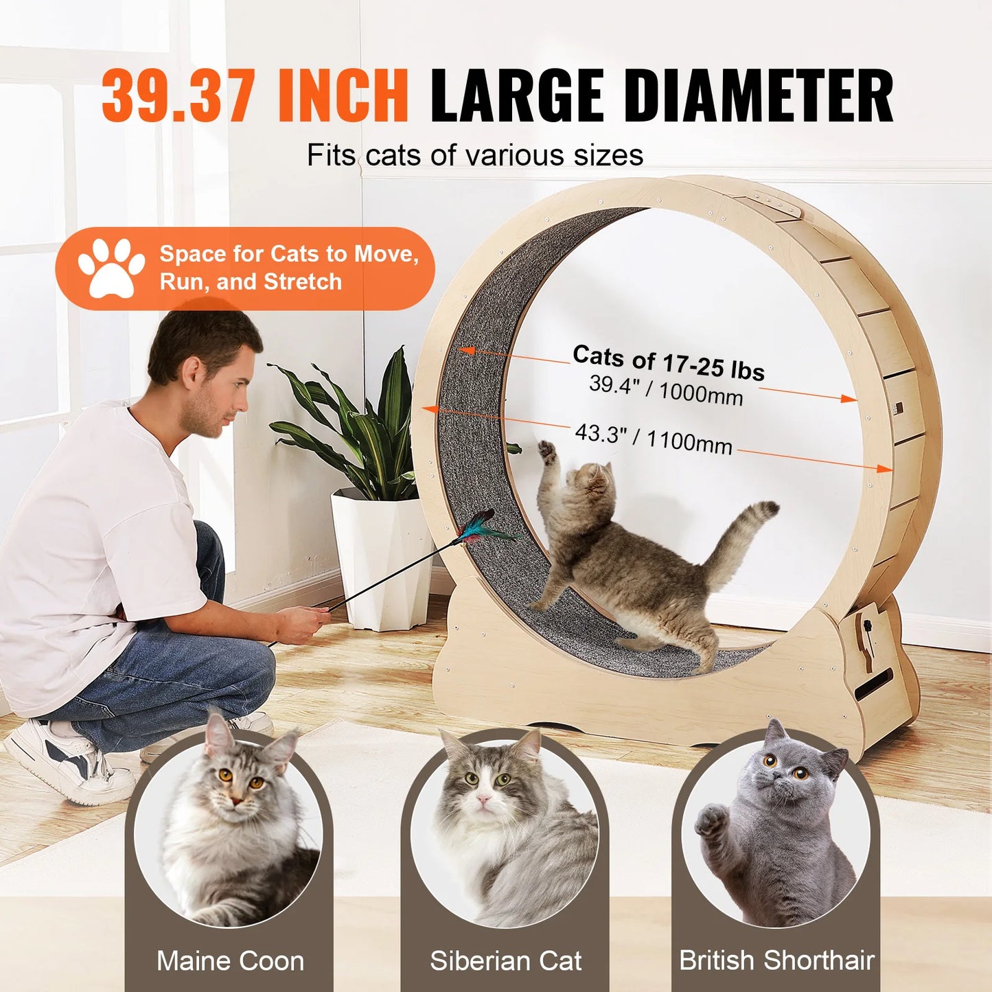 Large Cat Exercise Wheel | Wooden Cat Running Wheel for Indoor Cats | Silent Spin Wheel with Carpet Mat & Cat Teaser