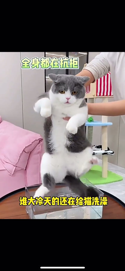 Pet Spray Massage Comb Cat & Dog Grooming Brush